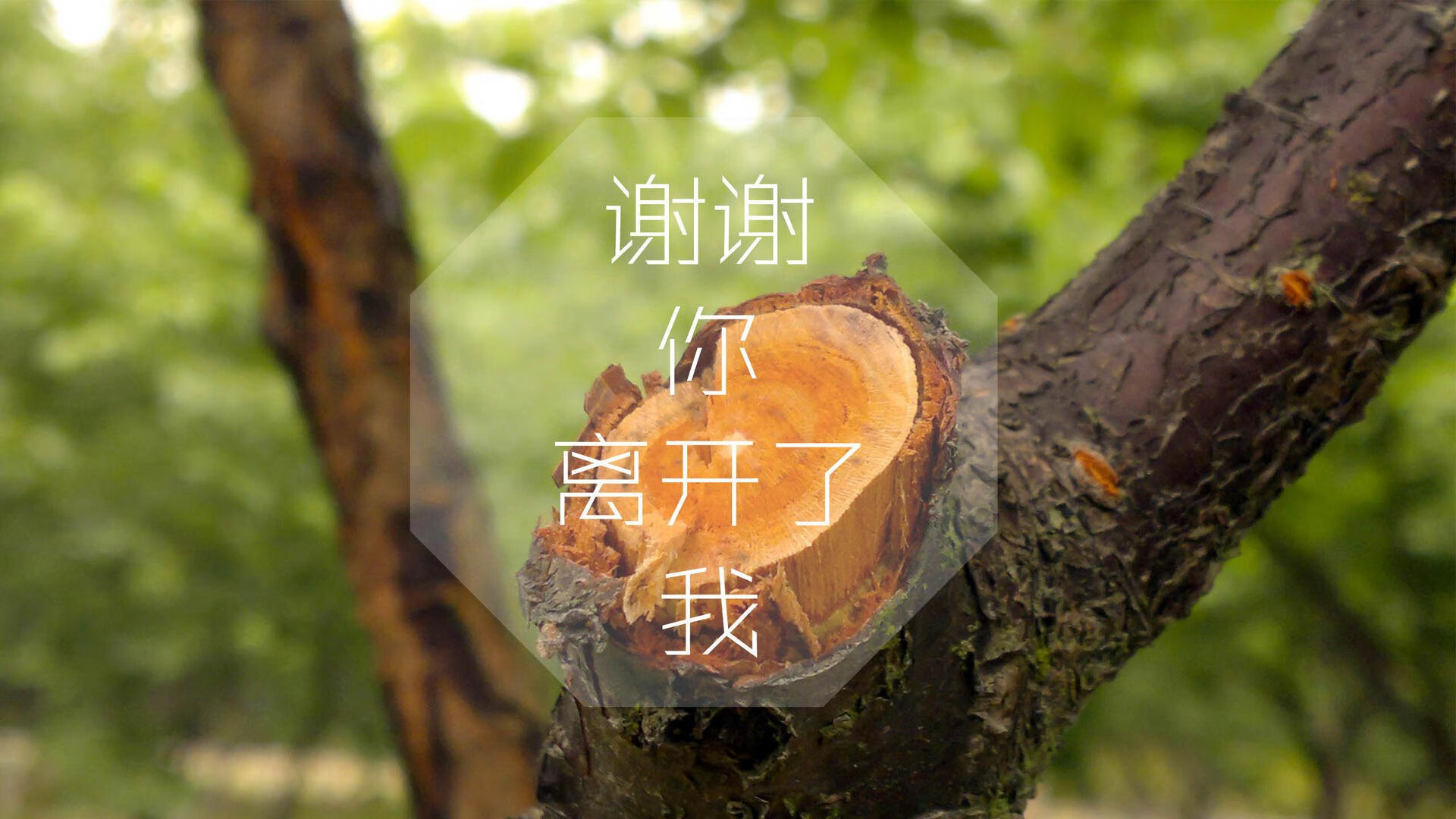 TES辅助选手斩获单场最高助攻纪录，tes战队辅助