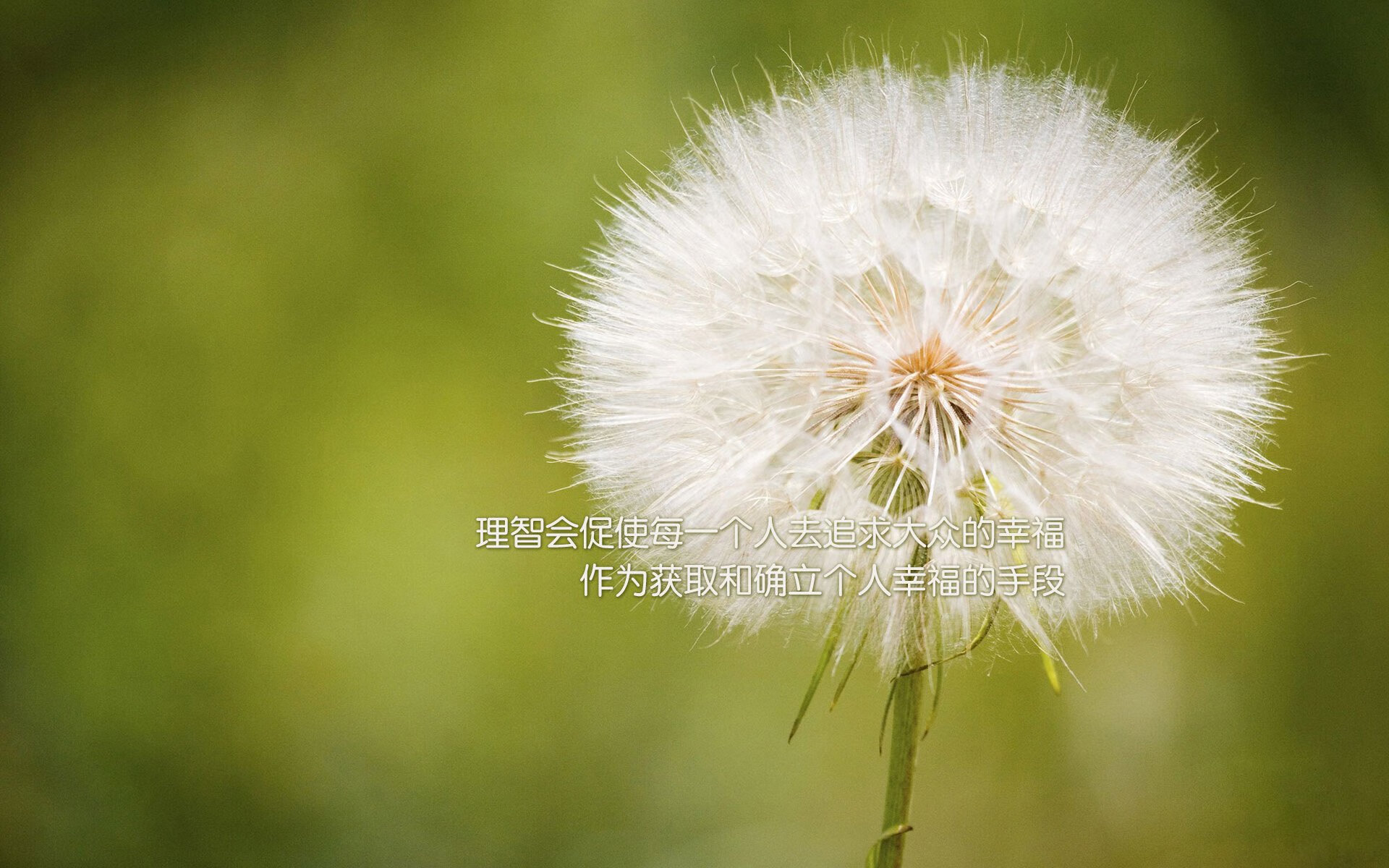 中国足球的社会责任担当，中国足球存在的意义是什么