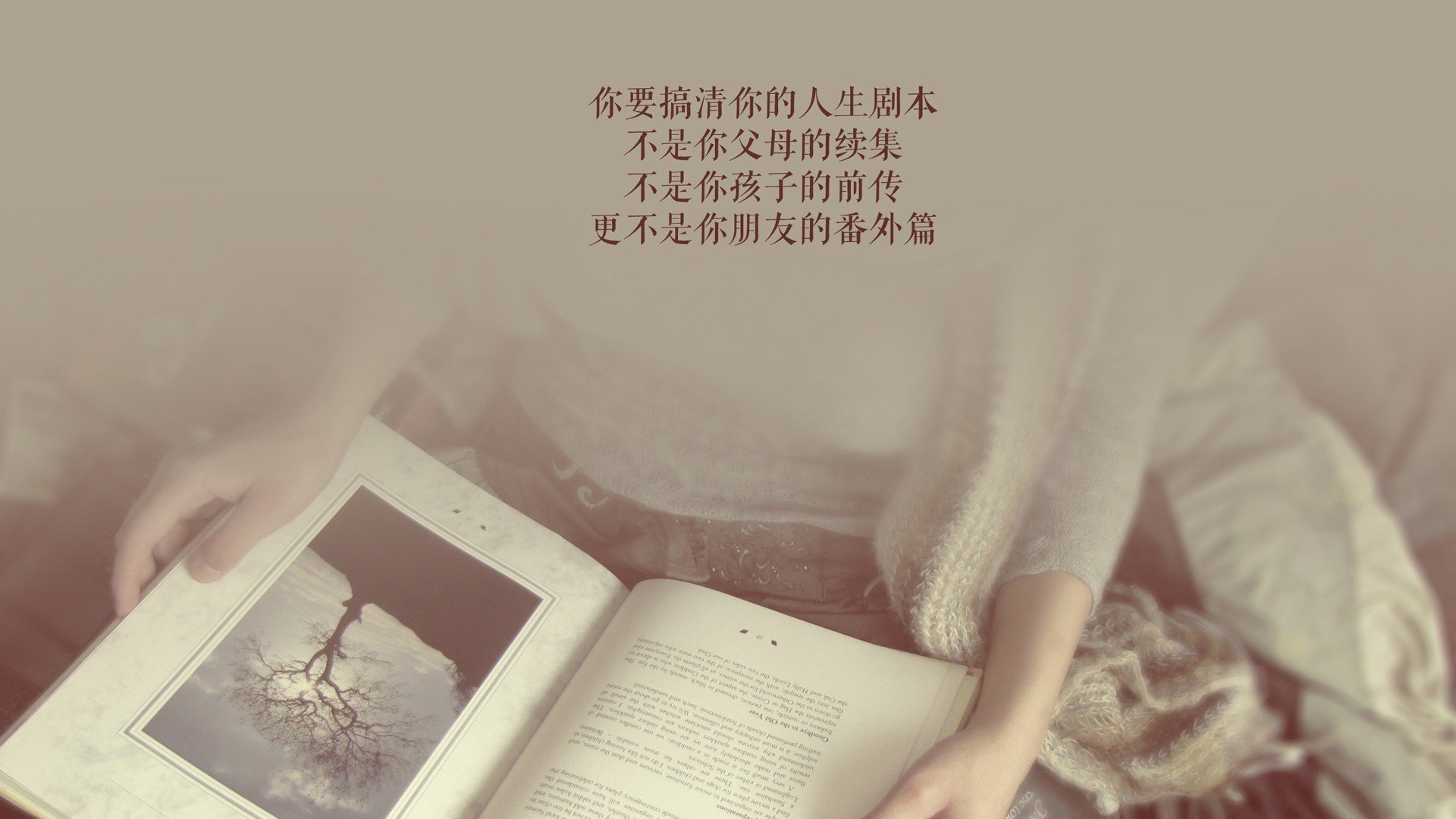 季后赛经验是否仍然至关重要，季后赛进度