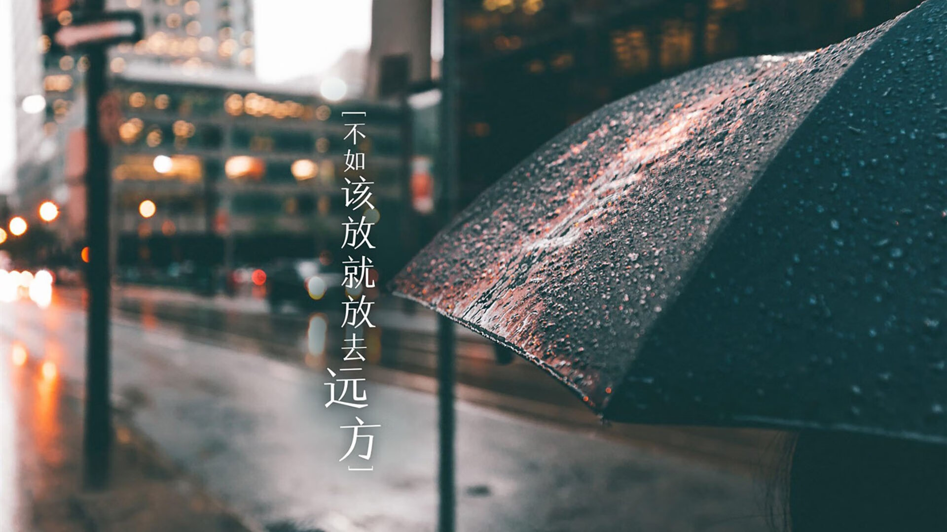 开云·体育官网APP下载-忠诚的胜利：球迷们见证了球队的胜利，最忠诚球迷