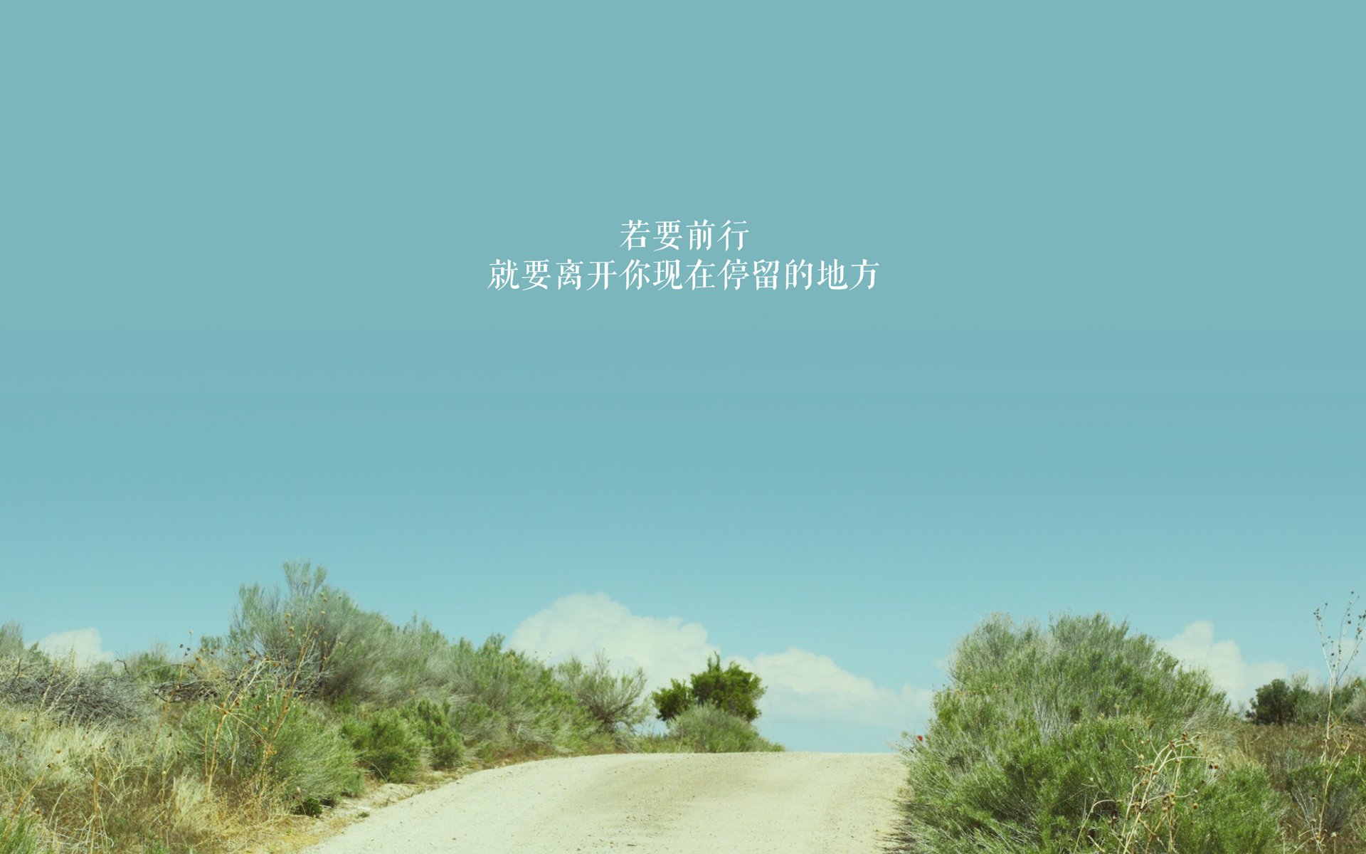 球队状态分析：近期战绩与战术调整，球队战况