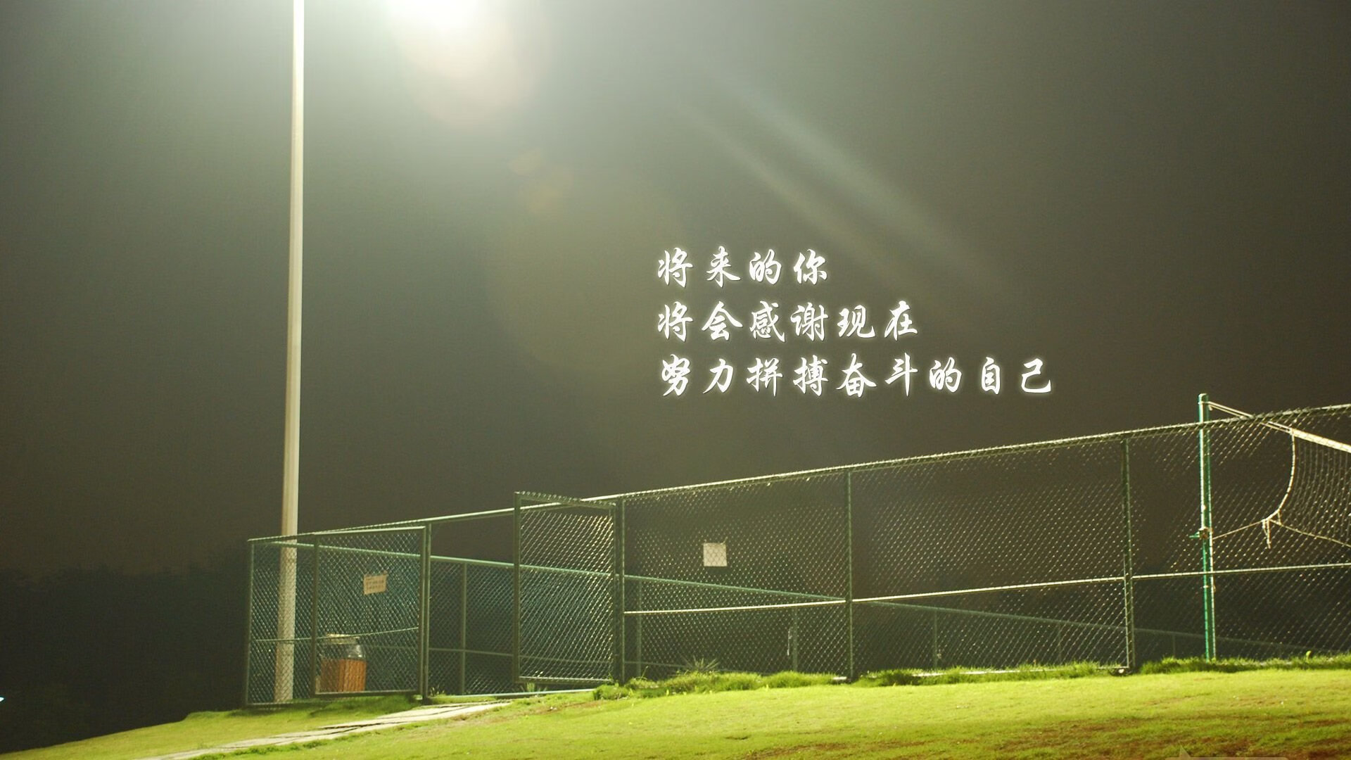 托里·哈斯克突破自我刷新纪录，哈里斯托克曼发表的