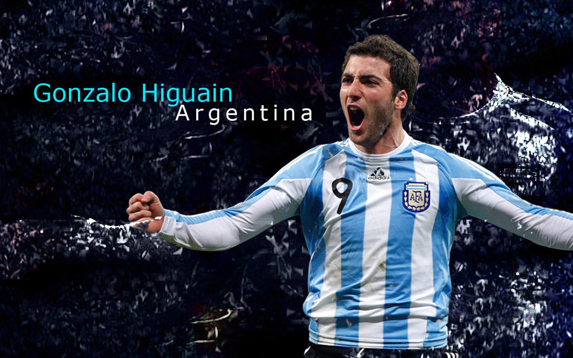 【冠军之路】运动员：从训练营到世界舞台的成长足迹，运动冠军2